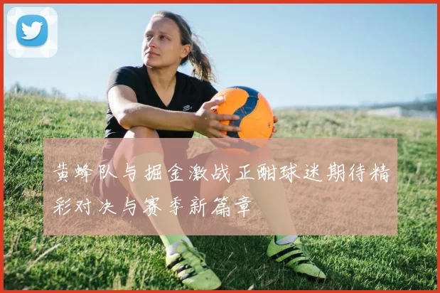 黄蜂队与掘金激战正酣球迷期待精彩对决与赛季新篇章
