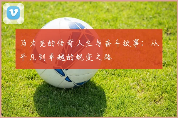 马力克的传奇人生与奋斗故事：从平凡到卓越的蜕变之路