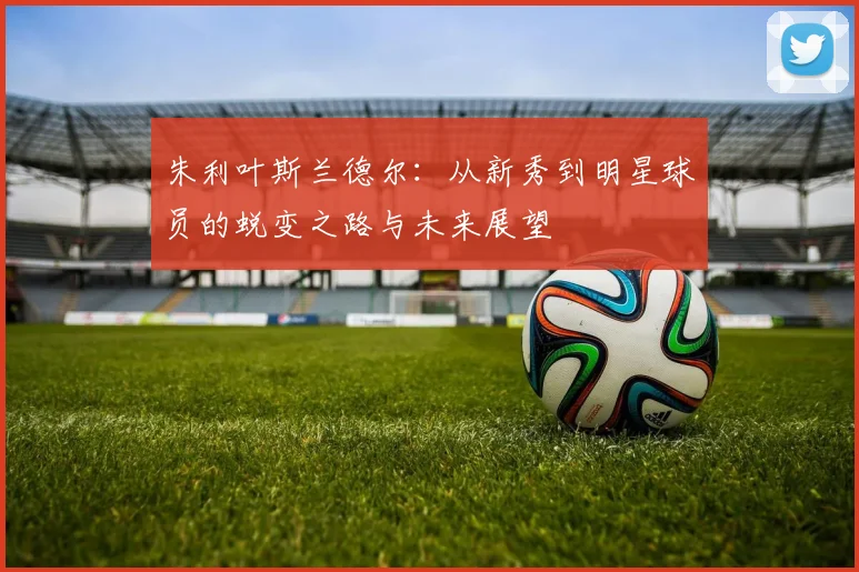 朱利叶斯兰德尔：从新秀到明星球员的蜕变之路与未来展望