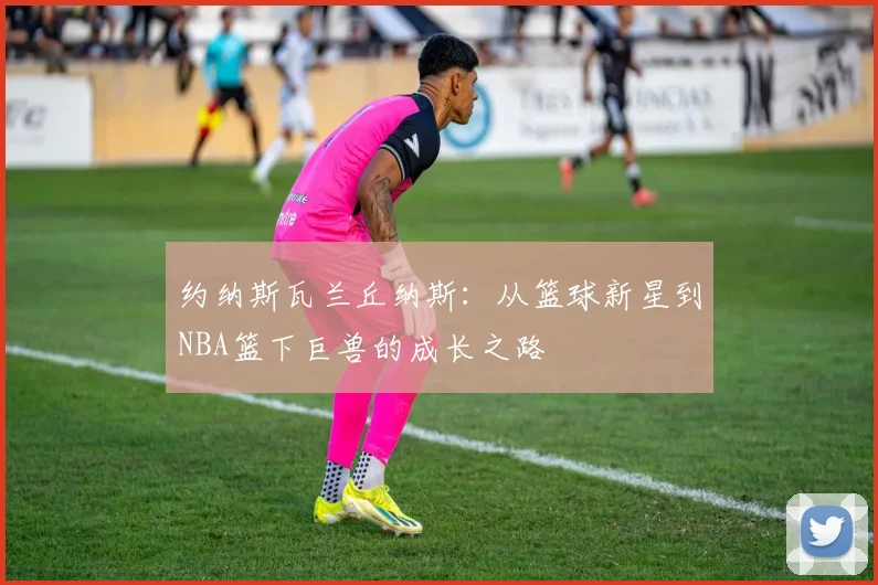 约纳斯瓦兰丘纳斯：从篮球新星到NBA篮下巨兽的成长之路