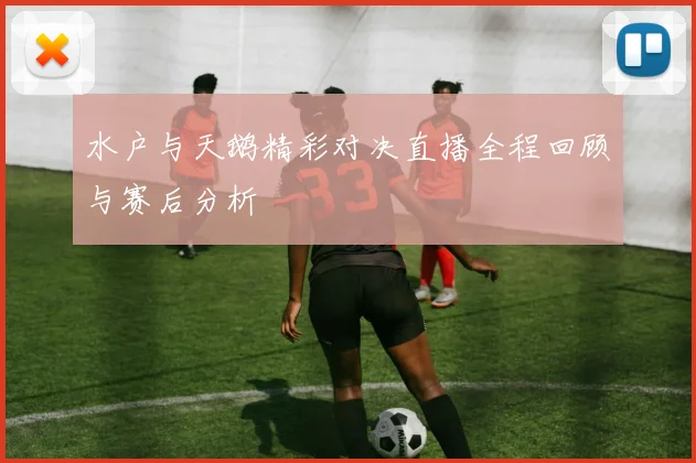 水户与天鹅精彩对决直播全程回顾与赛后分析