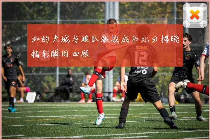 加的夫城与狼队激战成和比分揭晓精彩瞬间回顾