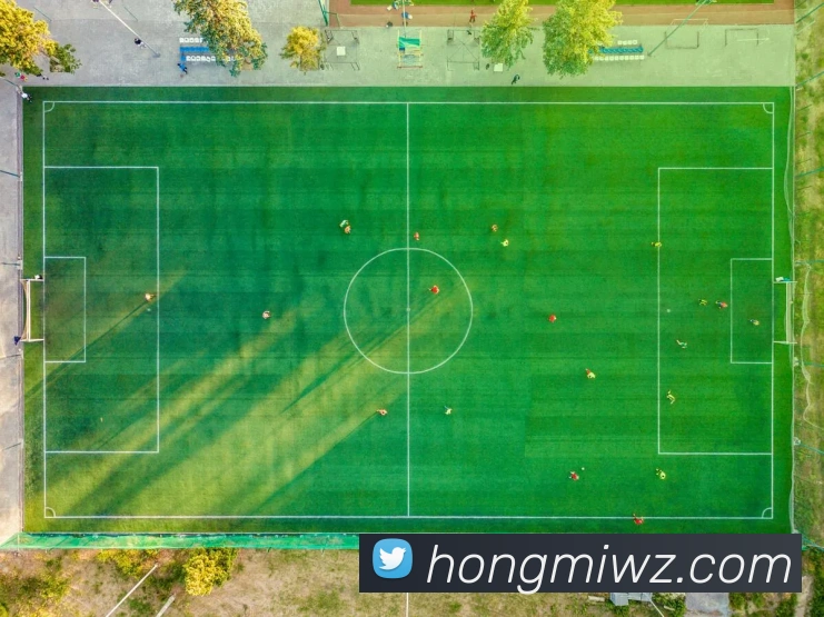 App Interface Preview